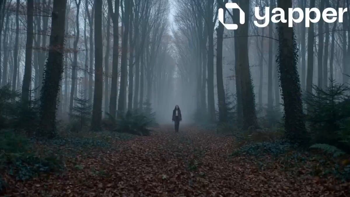 Quiet Forest Traveler