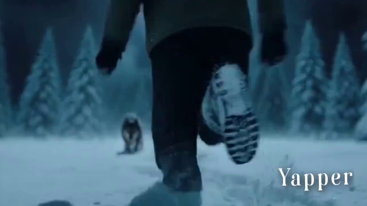 Nordic Snowy Night Chase