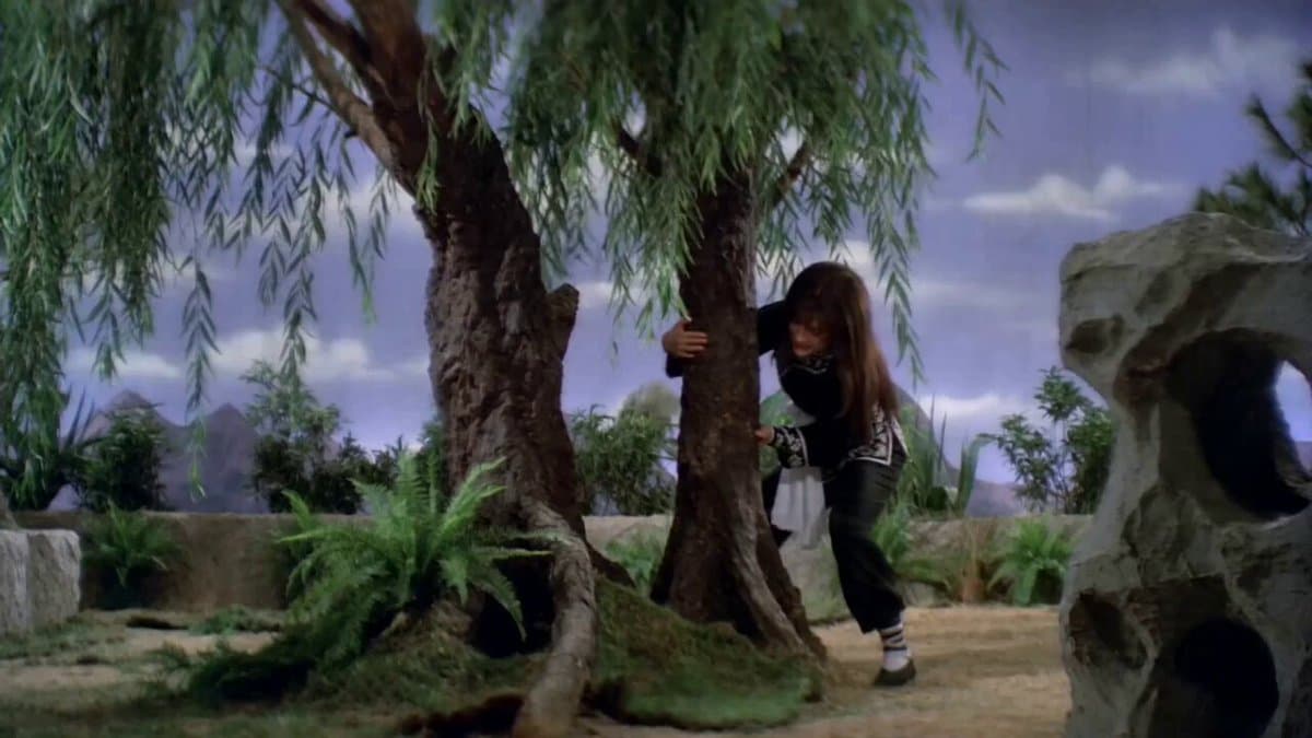 Pupu Pulling Up a Willow Tree: Shaw Brothers Wuxia Style