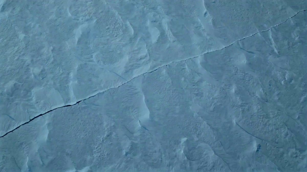 Antarctic Leviathan Awakening