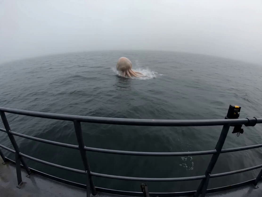 Alien Jellyfish Bodycam Attack