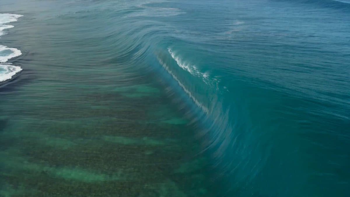 Surfer on a Big Wave