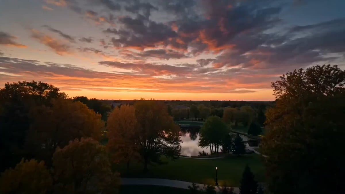Evening Park Walk Cinematic Advertisement