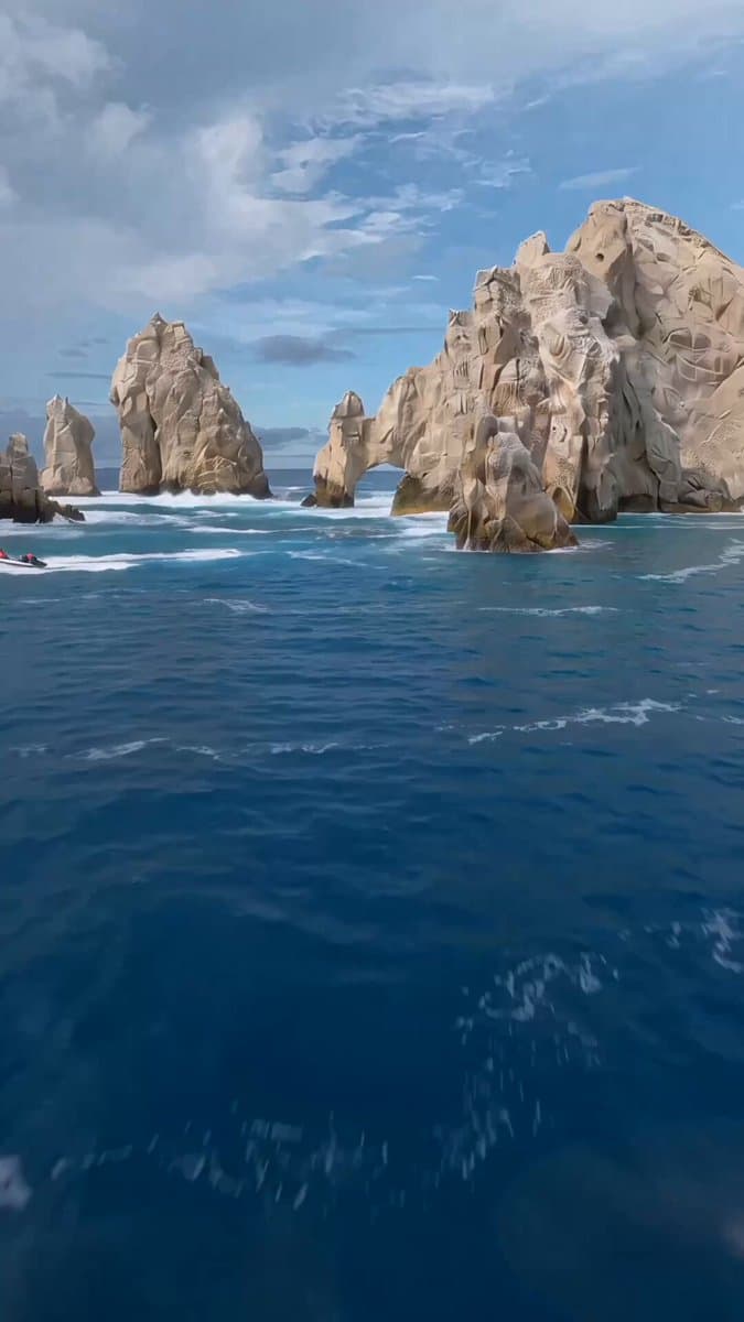 FPV Drone Humpback Whale Jump