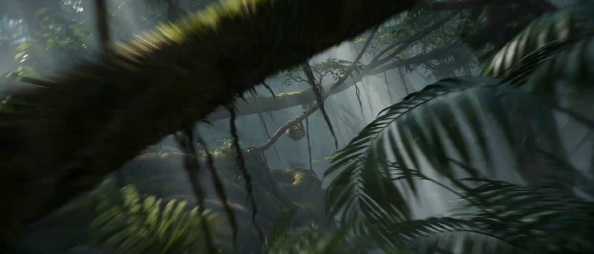 Impossible Camera Moves in Amazon Rainforest