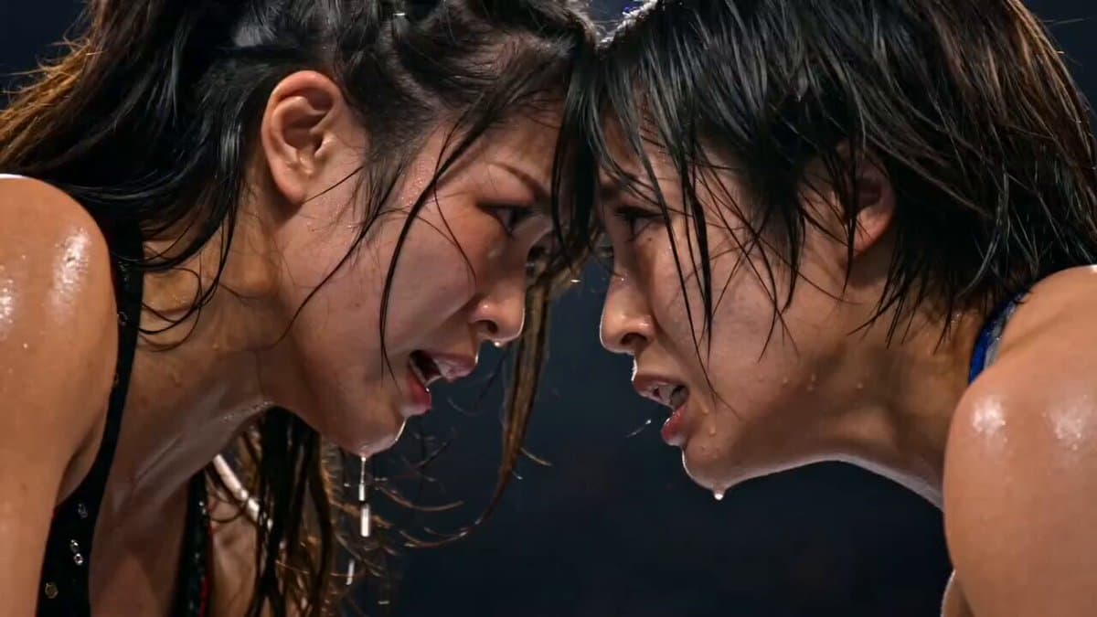 Japanese Female Wrestling Finale