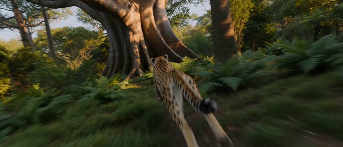 High-Speed Cheetah Chase Cam