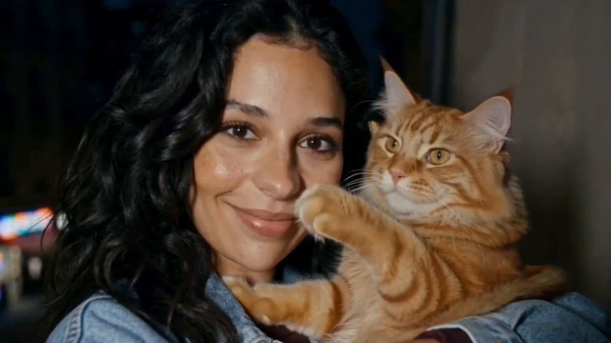 Girl and Cat Heartwarming Interaction