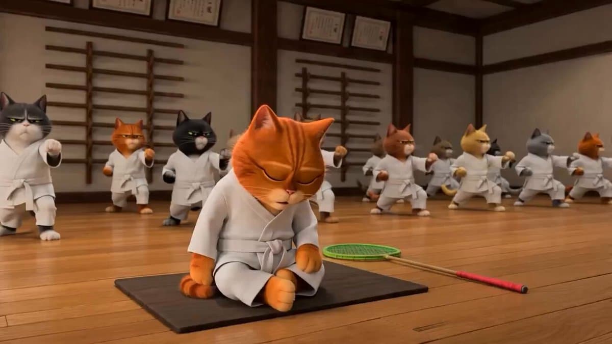 Taekwondo Cat Rooftop Chase