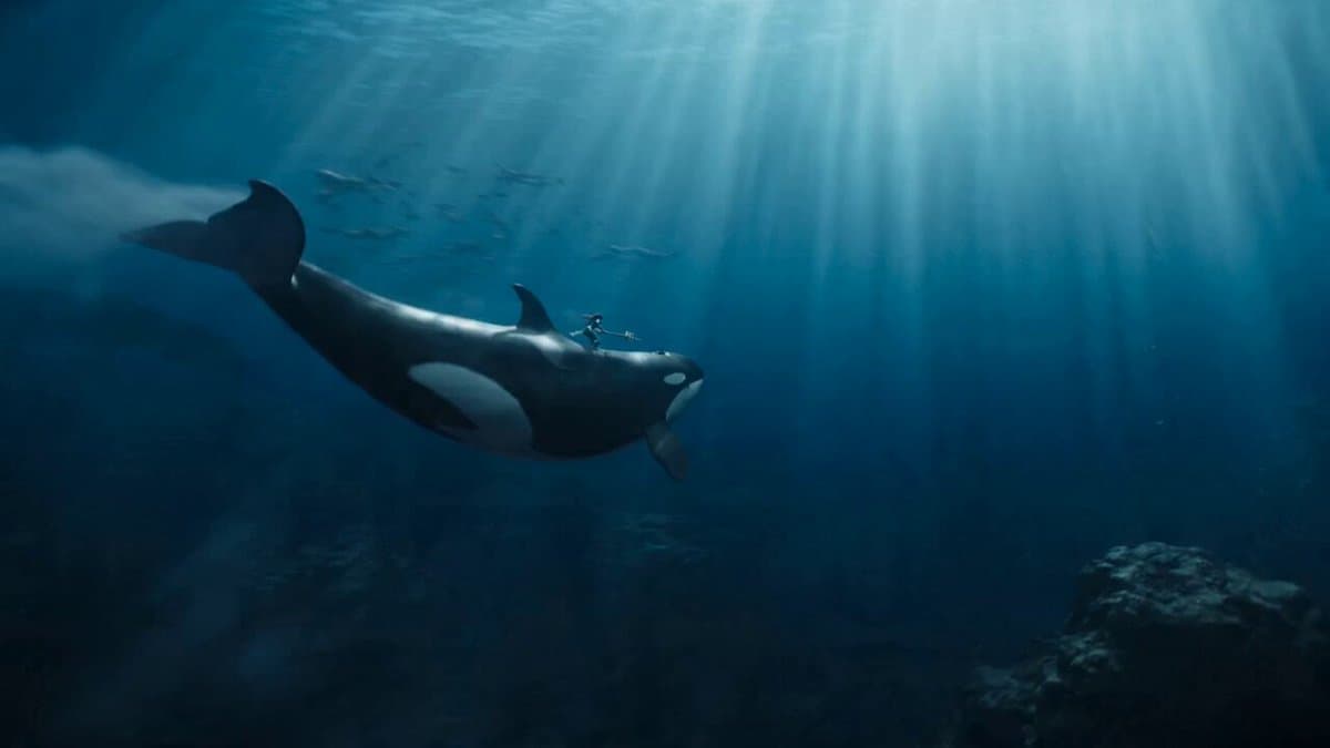 Aquatic Warrior Orca Ride