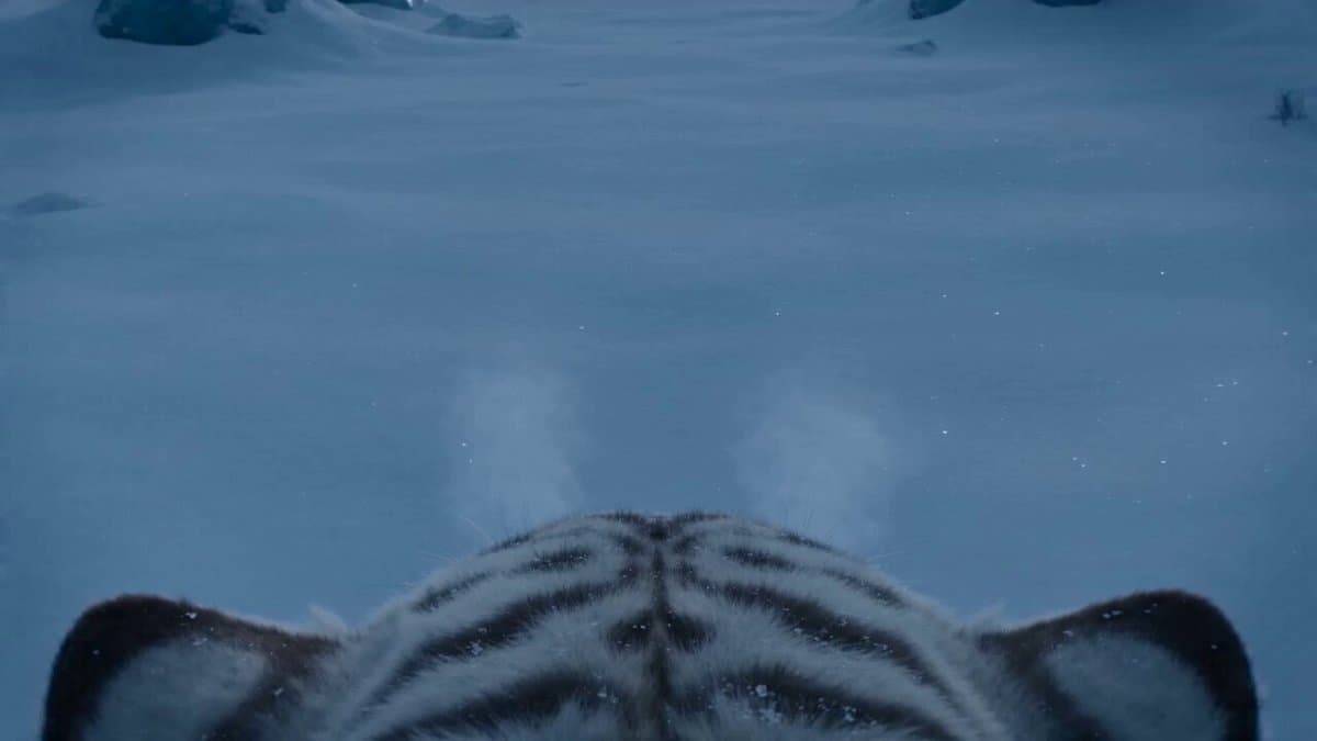 White Tiger Hunter in Glacial Canyon