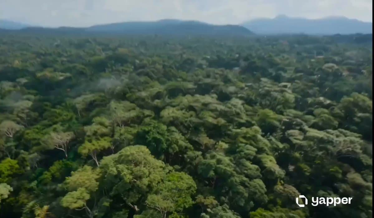 Amazon Jungle Insectoid Drone Flight