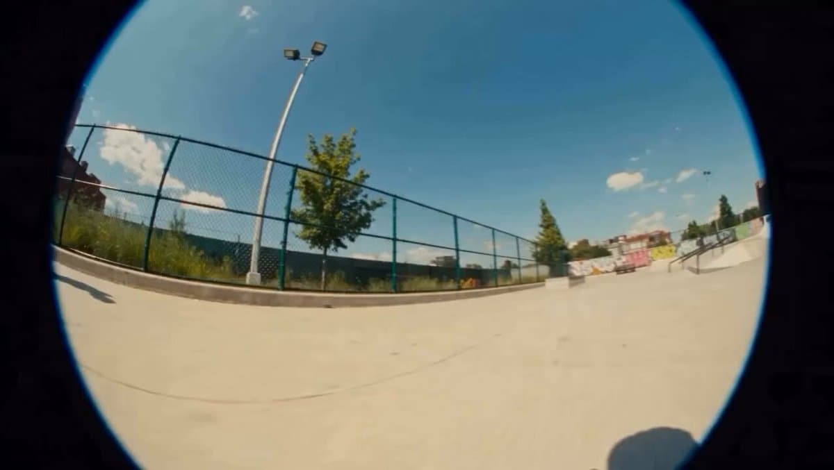Surreal Skater Dachshund