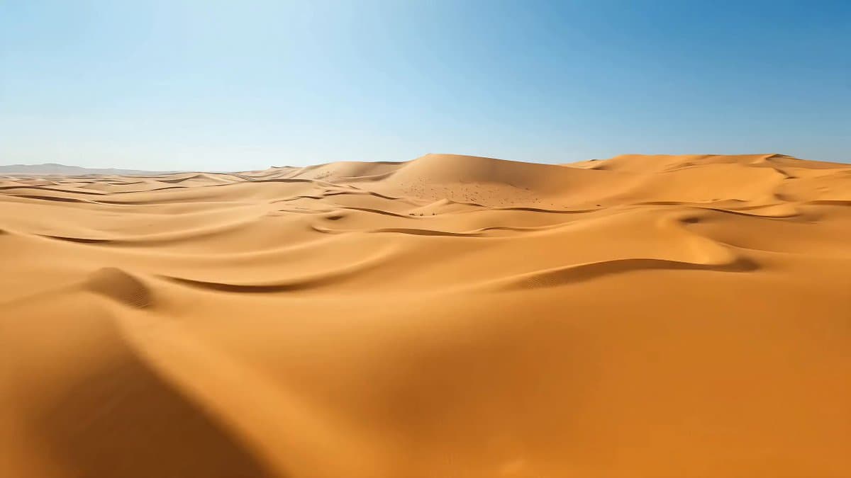 Surreal environment transition animation