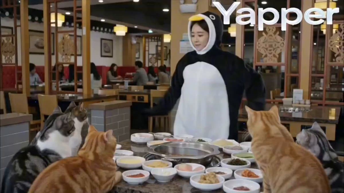 Penguin Dancer in Cat Hotpot Restaurant