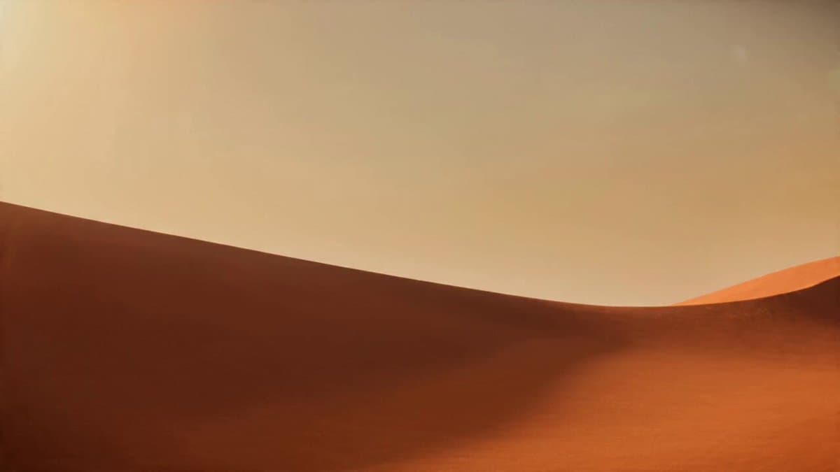 Desert Leviathan and Shamanic Belly Dancer