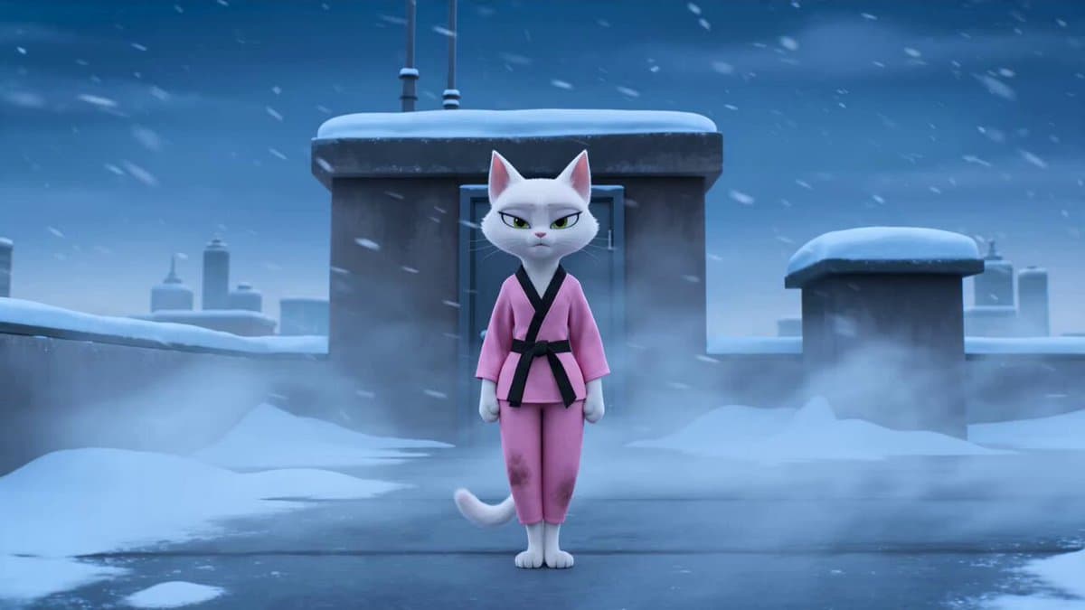 Single-Shot Cat Martial Arts Comedy