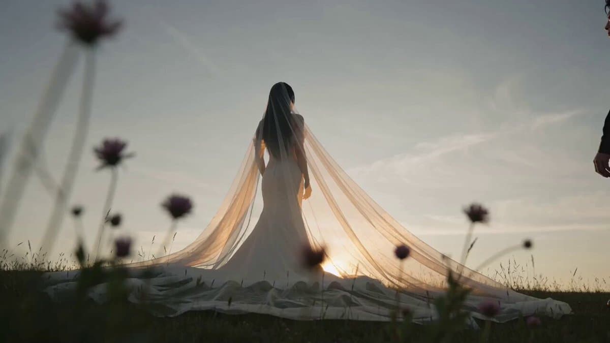 Seedance 2.0 Comprehensive Wedding Photography Prompt