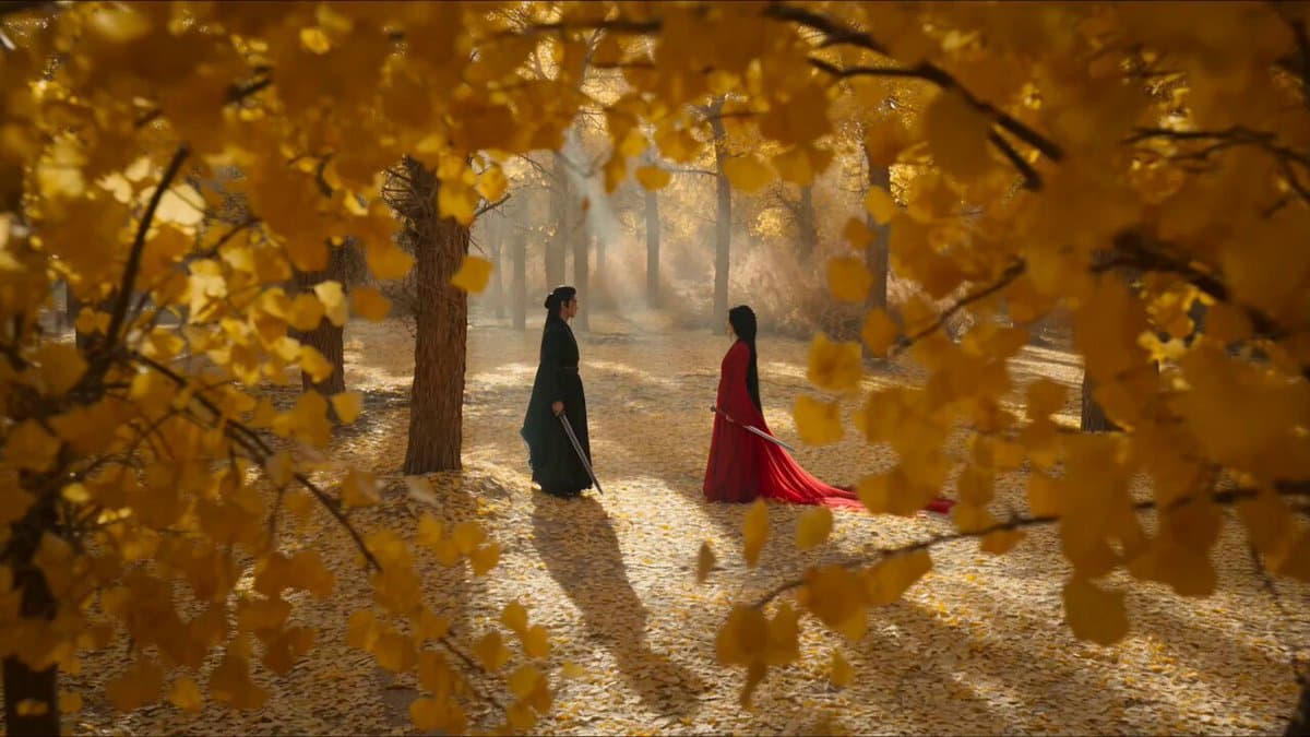 Forest Sword Fight Cinematography