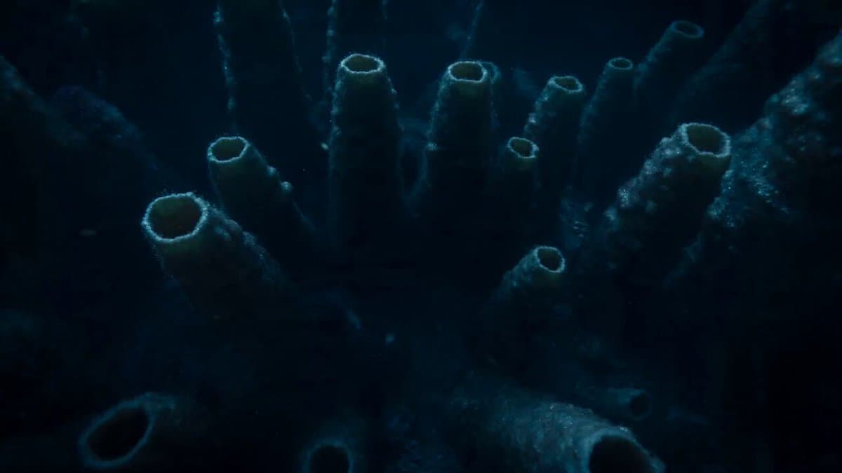 Bioluminescent Deep Sea Abyss