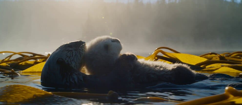 Realistic Wildlife Nature Documentary Prompt