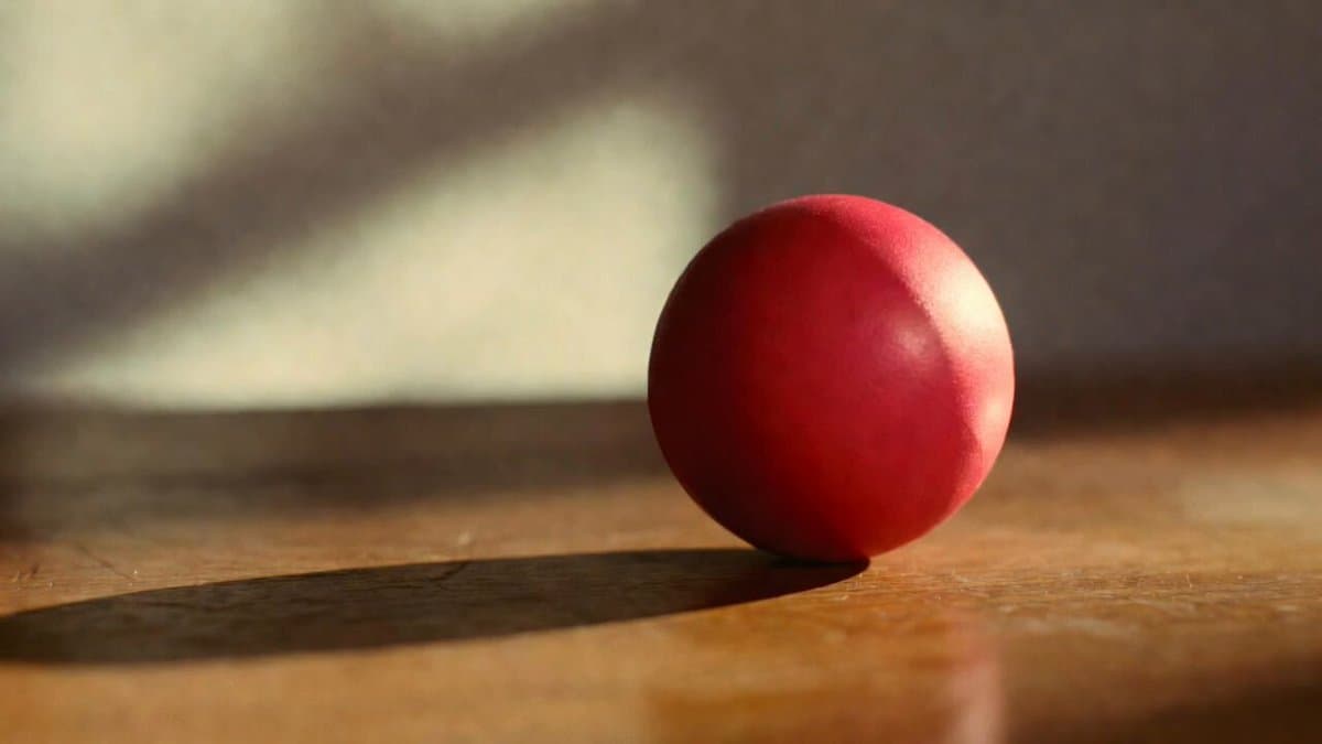 Structured JSON Prompt for Indoor Scene
