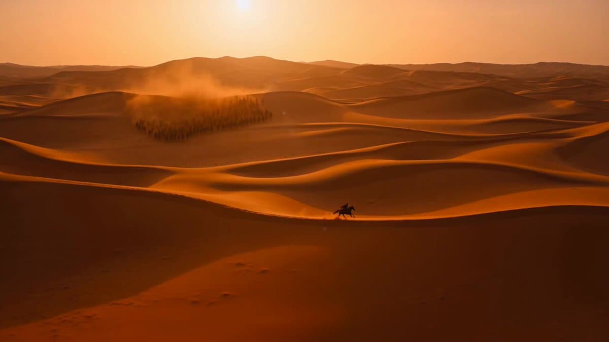 Sunset Desert Horse Chase