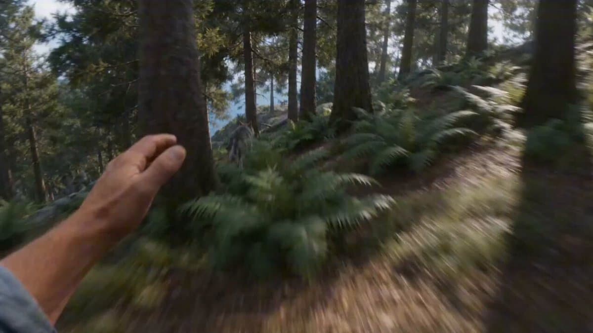 First-person FPV Chase and Rescue by Cat Pirates