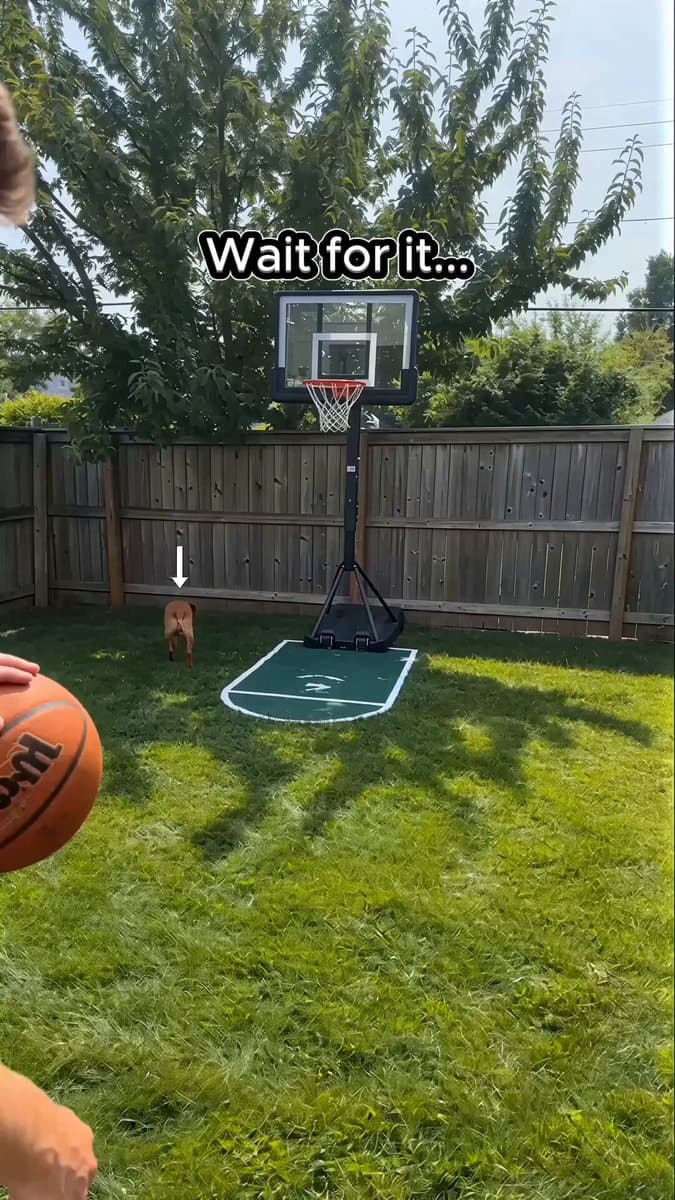 Basketball Dribbling Social Media Video Prompt
