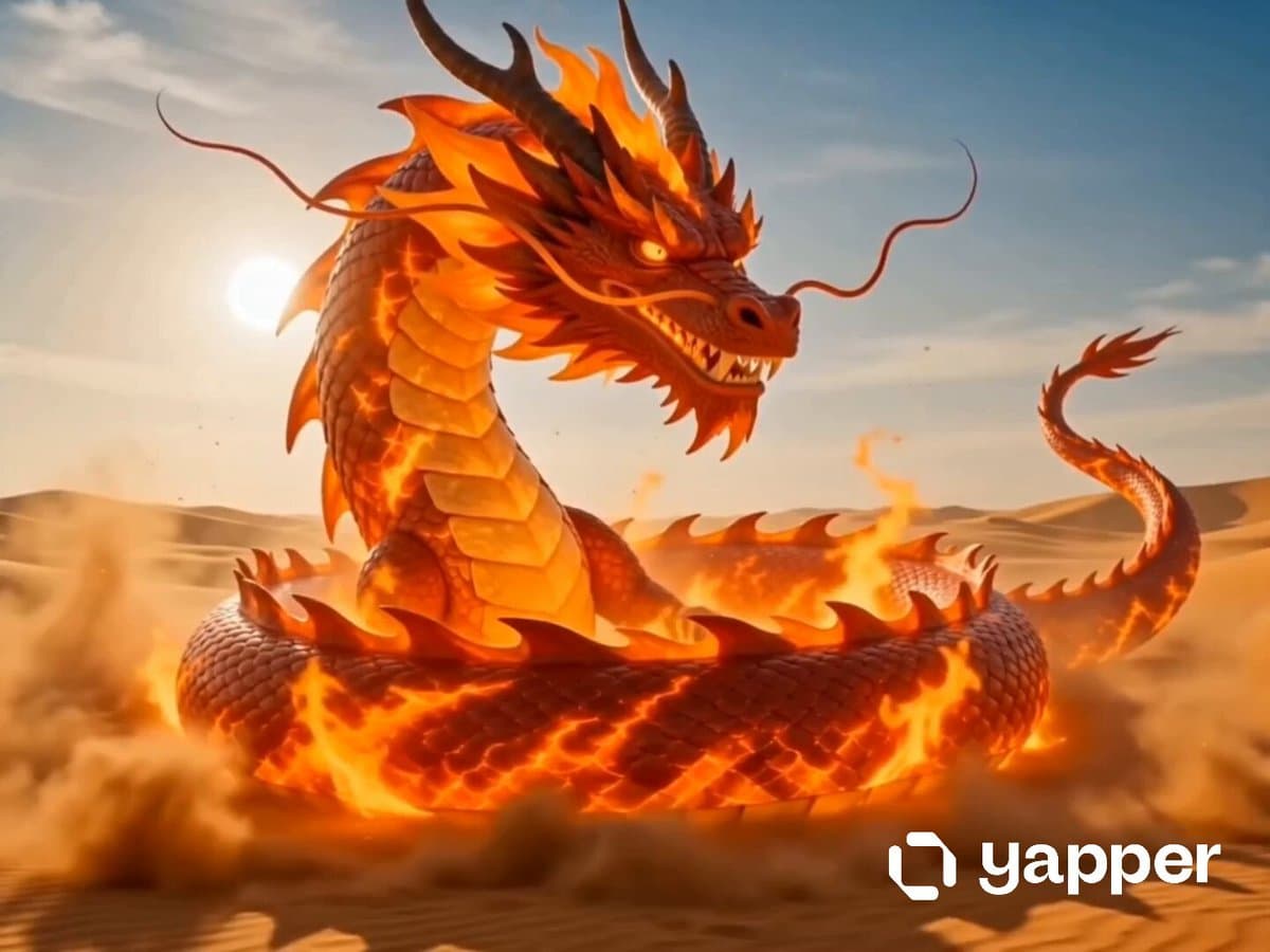 Dragon Fire Boxing Desert Combat