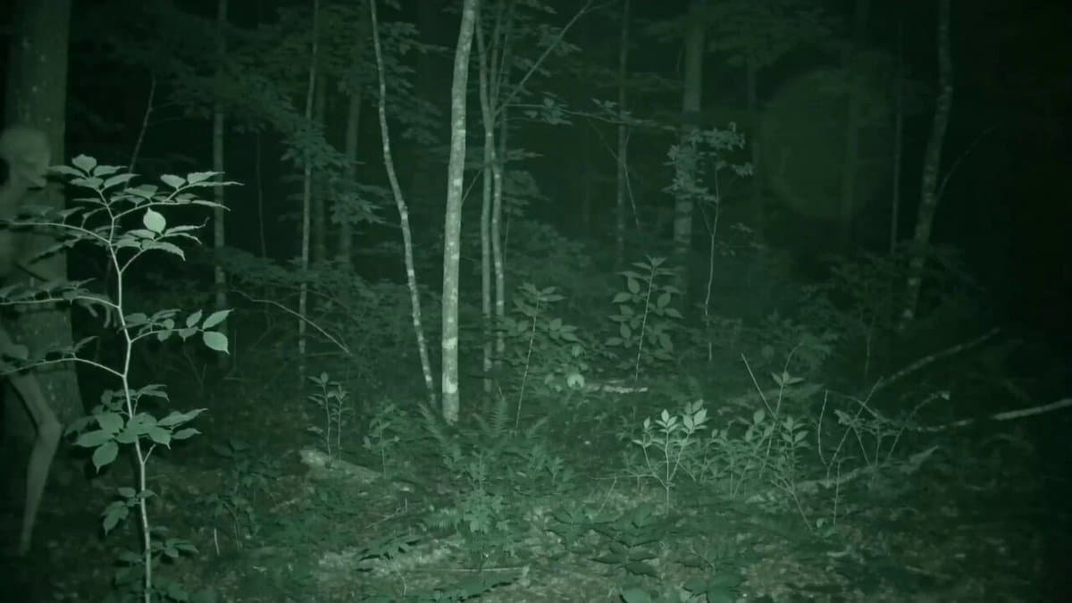 Skinwalker Night Vision Footage