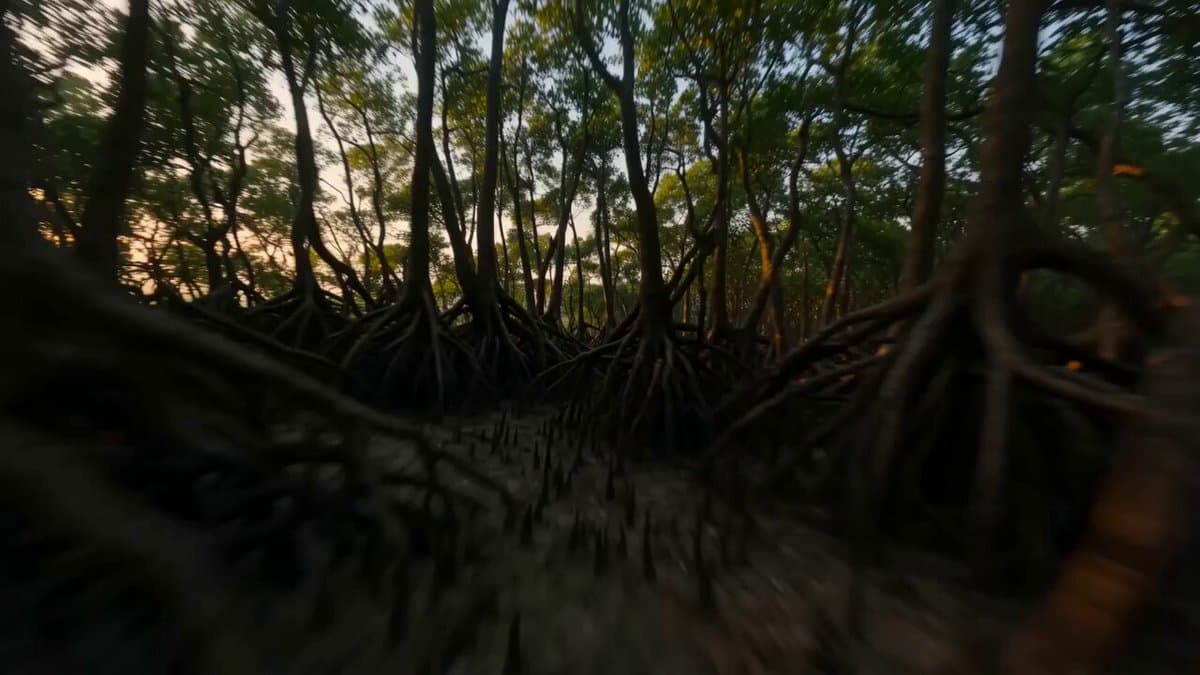 FPV Ancient Indian Kingdom Fly-through