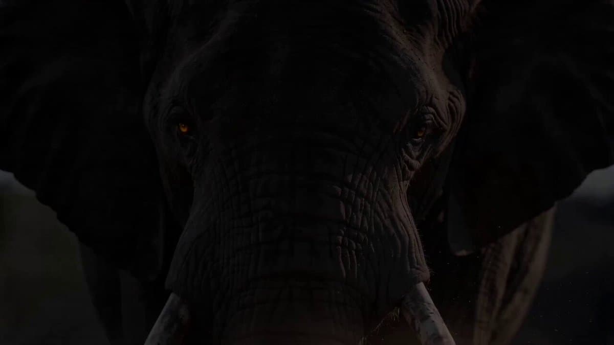 Epic Wildlife Campaign Trailer