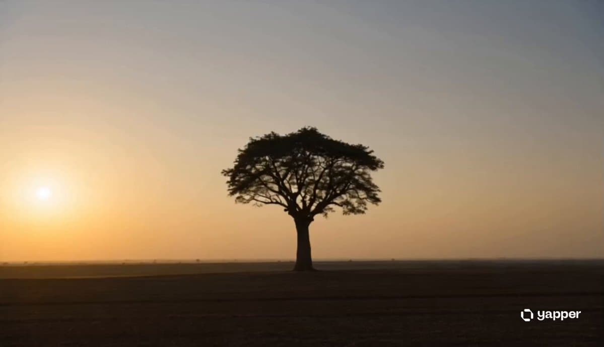 Ancient Tree Narrative Sequence